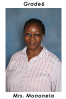 Primary School Educator