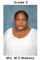 Primary School Educator