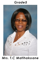 Primary School Educator