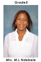 Primary School Educator