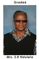 Primary School Educator