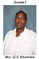 Primary School Educator