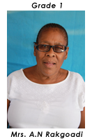 Primary School Educator