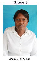 Primary School Educator