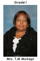 Primary School Educator