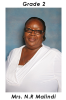 Primary School Educator