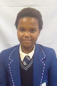 Primary School Educator
