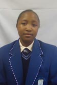 Primary School Educator