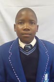 Primary School Educator